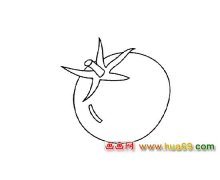 蔬菜简笔画【西红柿】3