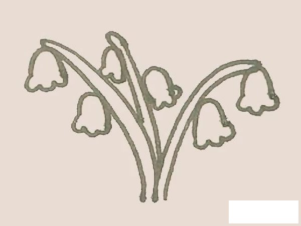 铃兰花简笔画图片