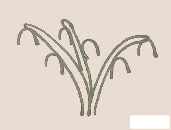 铃兰花简笔画图片
