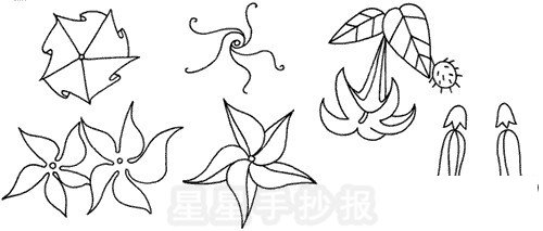 曼陀罗简笔画