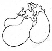 茄子简笔画怎么画
