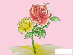 教你一步一步手绘月季花简笔画带颜色简单漂亮