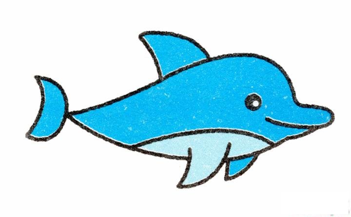 简笔画海豚的具体步骤图示