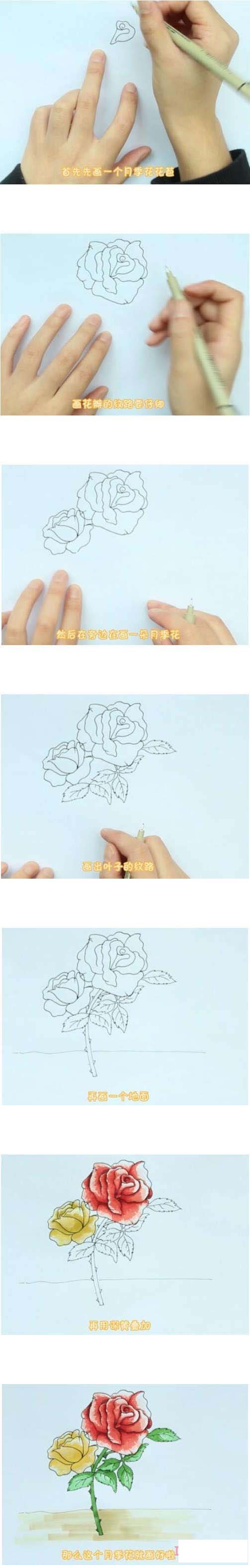 教你一步一步手绘月季花简笔画带颜色简单漂亮