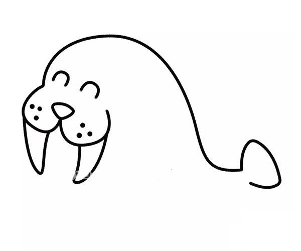 开心的海豹简笔画