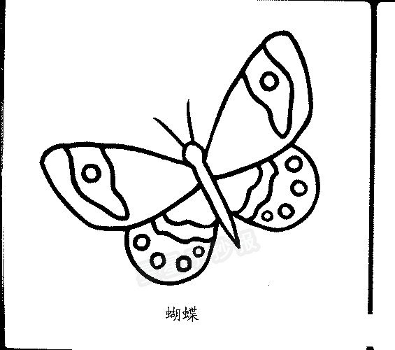 蝴蝶简笔画
