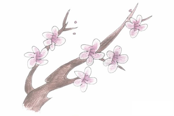 梅花简笔画图片