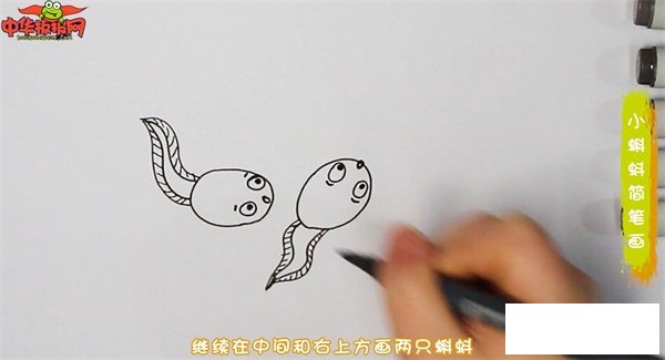 小蝌蚪简笔画