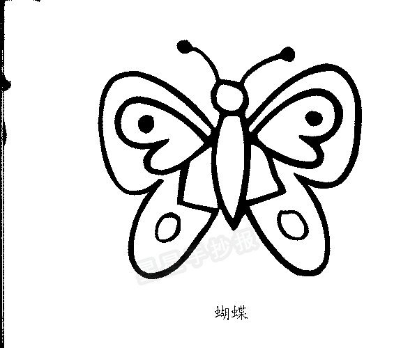 蝴蝶简笔画