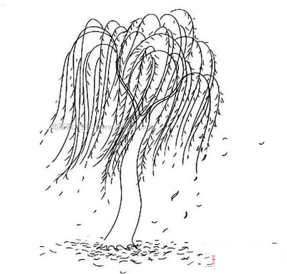 风吹柳树飘扬的画法简笔画图片简单好看