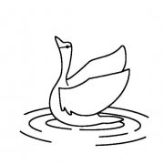 画一画湖里的白天鹅