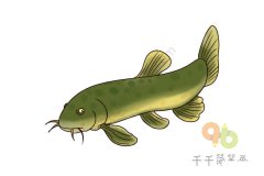儿童简单画  泥鳅简笔画步骤图