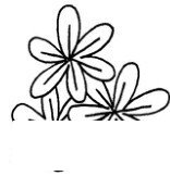 风信子简笔画怎么画