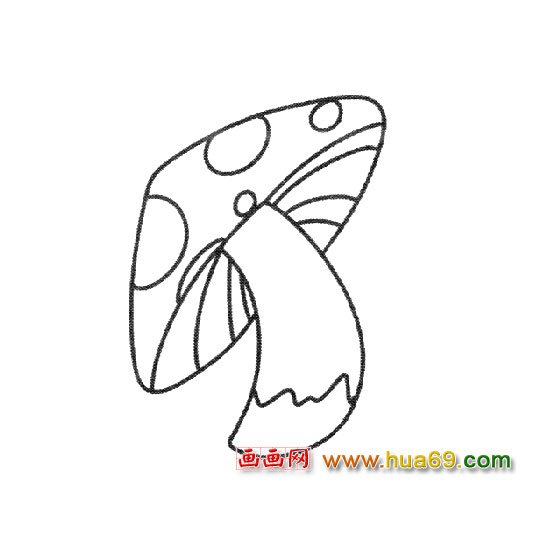 花蘑菇│蔬菜简笔画2