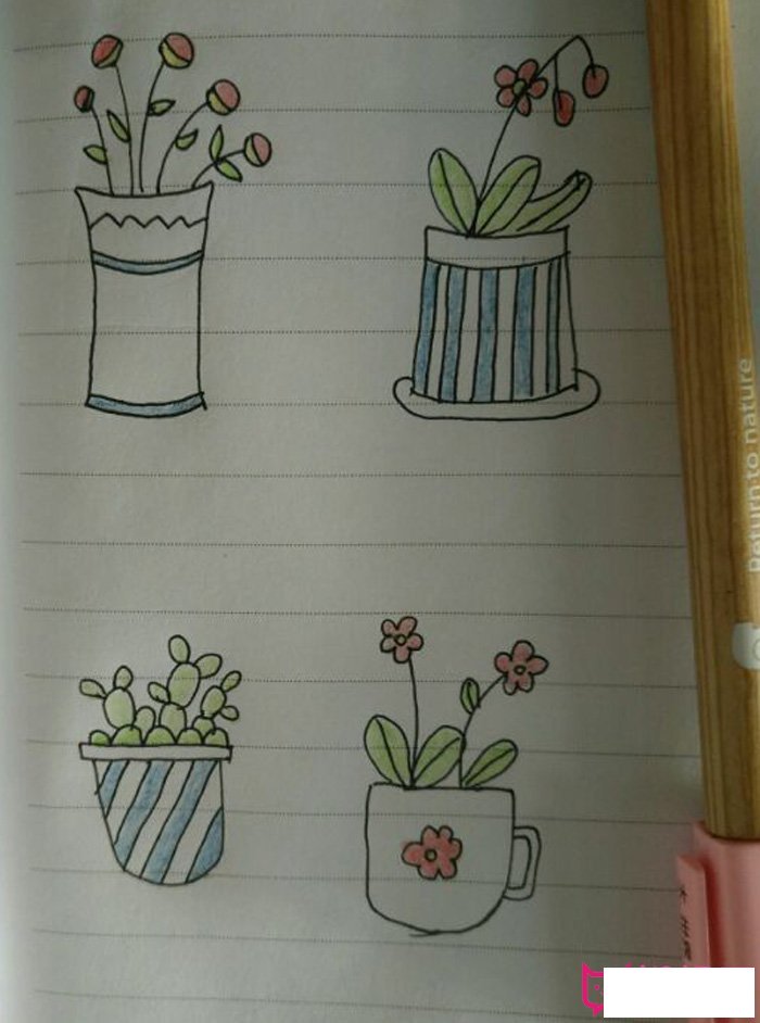 儿童植物简笔画大全，小清新盆栽简笔画