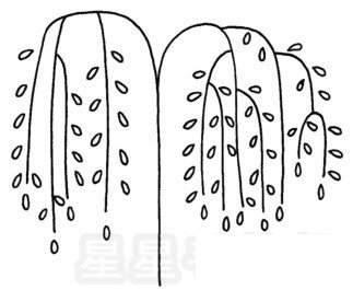 柳树简笔画图片步骤教程