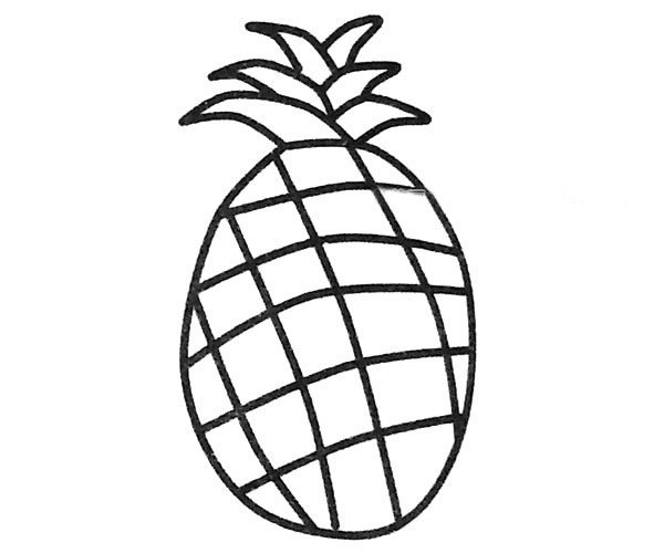 简单的菠萝简笔画图片4