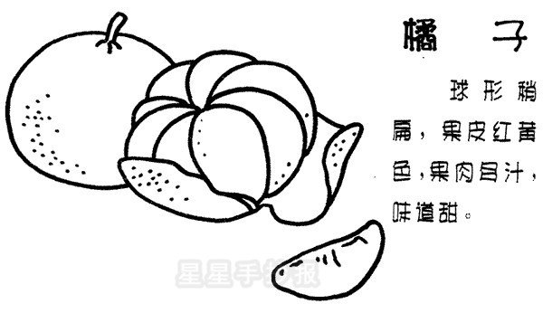 橘子简笔画