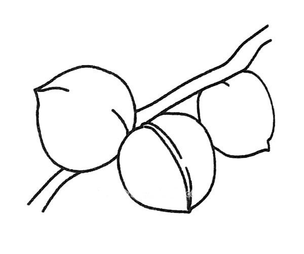 简单的桃子简笔画图片1