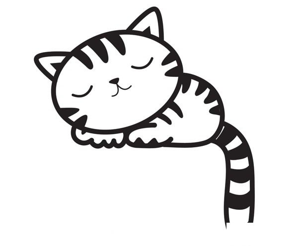 熟睡的小猫咪简笔画步骤图片