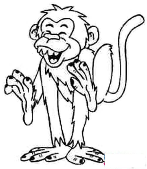 幼儿猴子简笔画：哈哈大笑的猴子