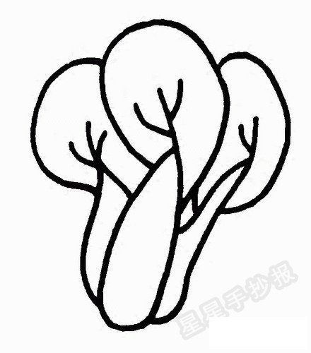 青菜简笔画