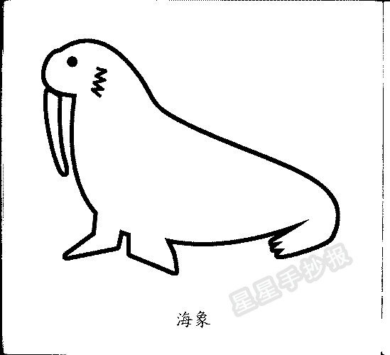 海象简笔画