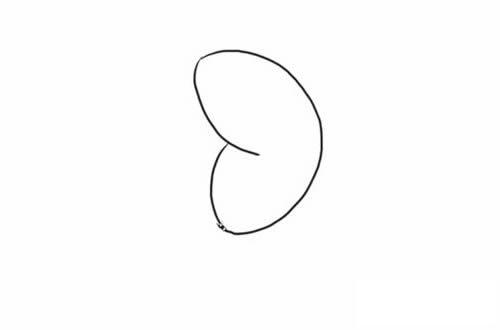 蝴蝶兰简笔画