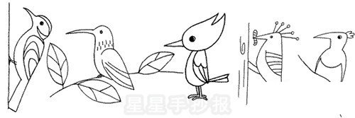 啄木鸟简笔画图片画法