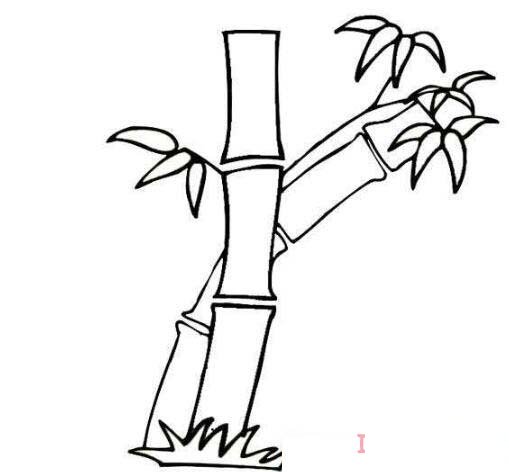 春天竹子简笔画的画法手绘简单好看春天竹子简笔画的画法手绘简单好看