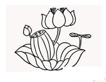简笔画夏天池塘之美景的具体画法步骤图片教程