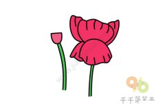 韵味十足 虞美人简笔画