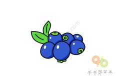 蓝莓简笔画图片教程