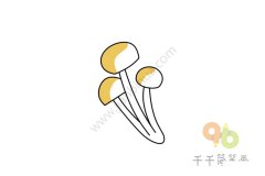 白玉菇简笔画画法