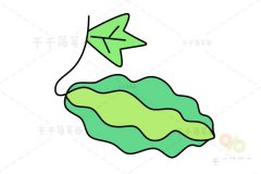 苦瓜简笔画教程