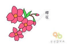 轻松学 漂亮的花朵简笔画大全集