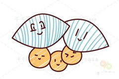 金桔简笔画