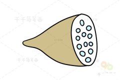 美味的莲藕简笔画教程