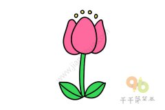 简单的花朵简笔画图片