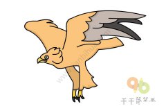 教你怎么画金雕简笔画