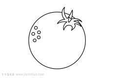 橘子简笔画图片教程