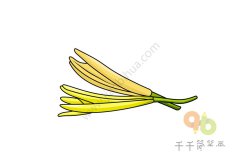 金针菜简笔画怎么画