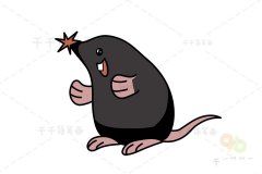 星鼻鼹简笔画怎么画
