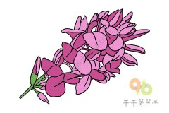 胡枝子简笔画步骤图