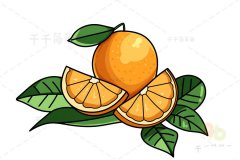 脐橙简笔画