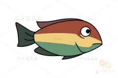 怎么画丽鱼简笔画图片