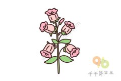 简单好画 风铃花简笔画图解