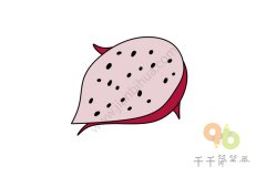 火龙果简笔画图片
