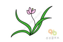 盛开的兰花简笔涂色画