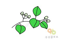 清香的茉莉花简笔画